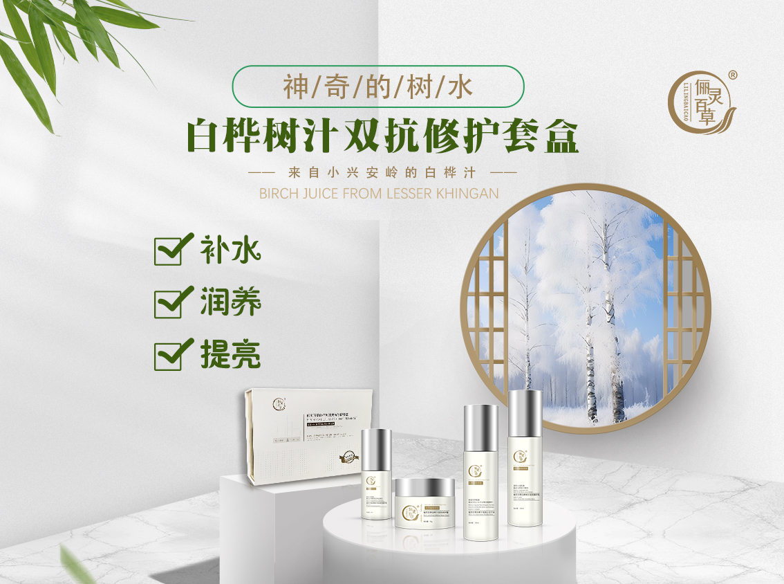 白桦树.jpg